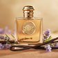 Burberry Goddess – 100 ml Mujer