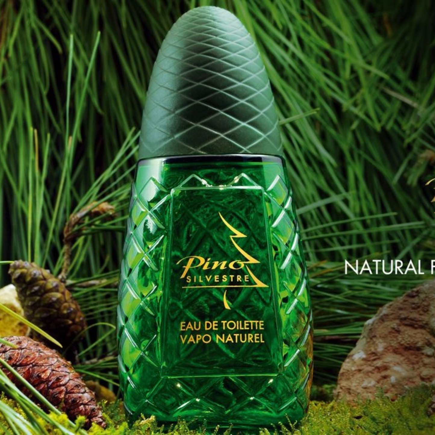 Pino Silvestre - 100 ml